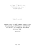 Financijsko izvještavanje neprofitnih organizacija