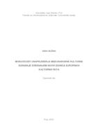 Mogućnosti unapređenja međunarodne kulturne suradnje kreiranjem novih dionica europskih kulturnih ruta