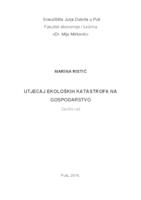 Utjecaj ekoloških katastrofa na gospodarstvo